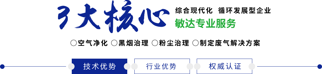 大鸡巴操农村网友逼视频敏达环保科技（嘉兴）有限公司